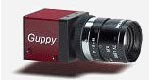 Allied Vision Guppy FireWire 400 Cameras